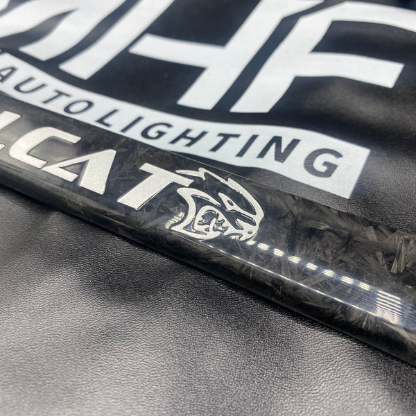 Custom Carbon Plate Frame